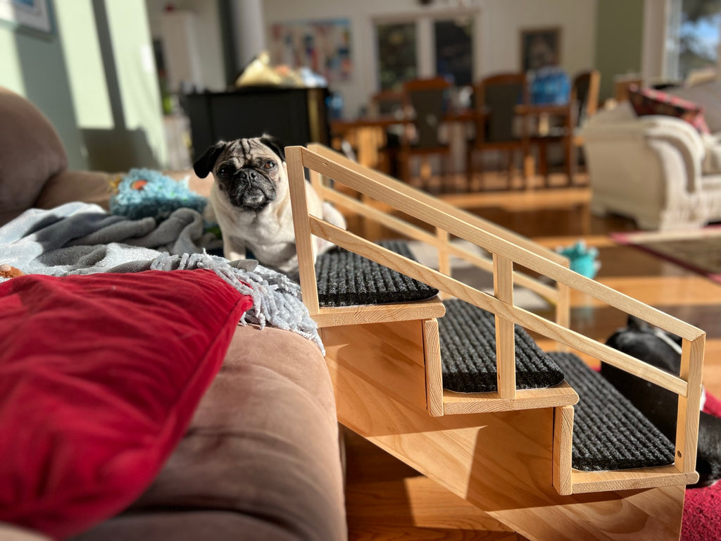 Improving Your Dog's Life: The Many Advantages of Pet Steps