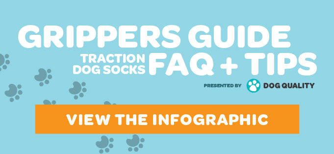 Your Guide to Grippers Non Slip Dog Socks for Senior Dogs