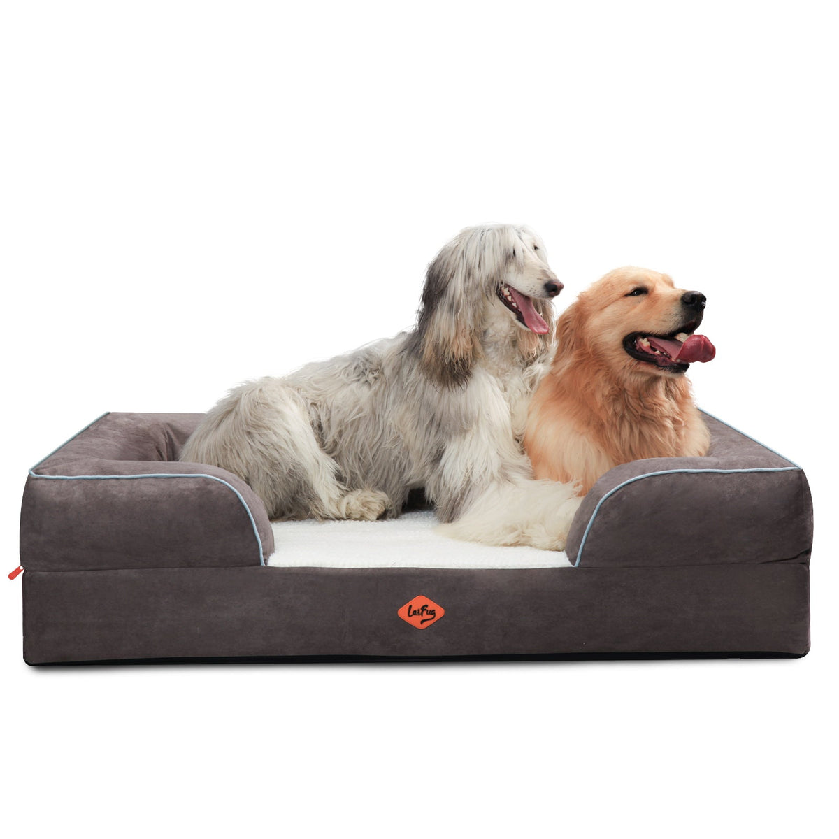 Orthopedic clearance dog couch