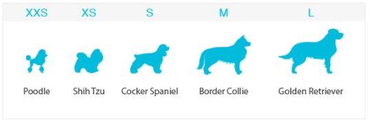 Washable Wonders male dog diaper sizing guide