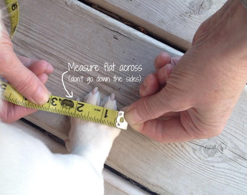 Grippers non slip dog socks measuring