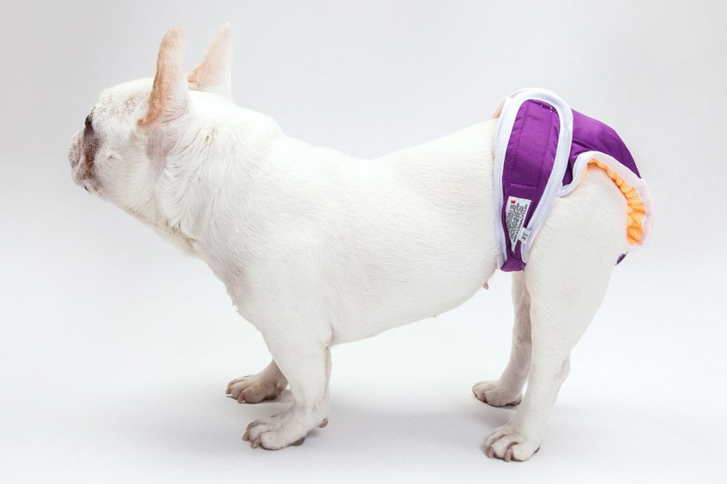 Washable Wonders™ Dog Diapers (Female - No Tail Hole)-5