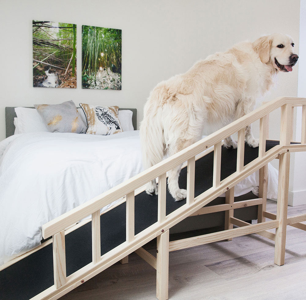 What to Look for When Buying a Dog Bed Ramp