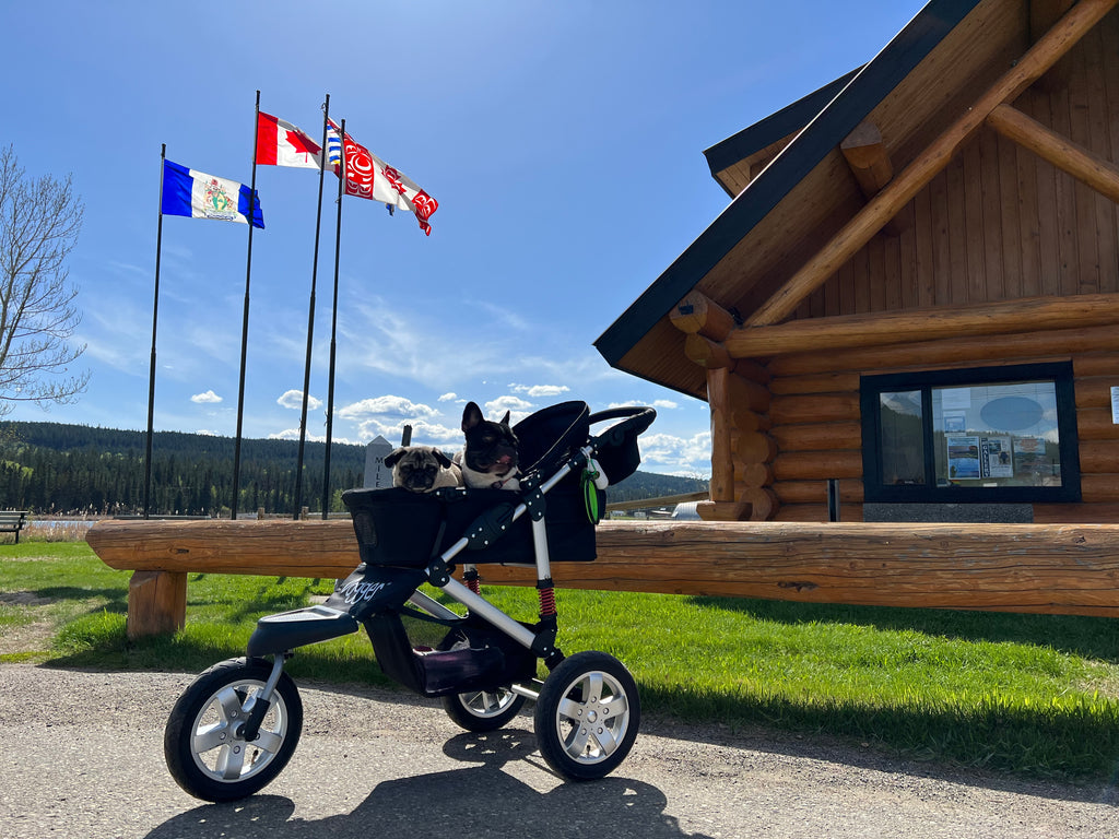 Free Dog Stroller Rentals at the South Cariboo Visitor Centre in 100 Mile House British Columbia