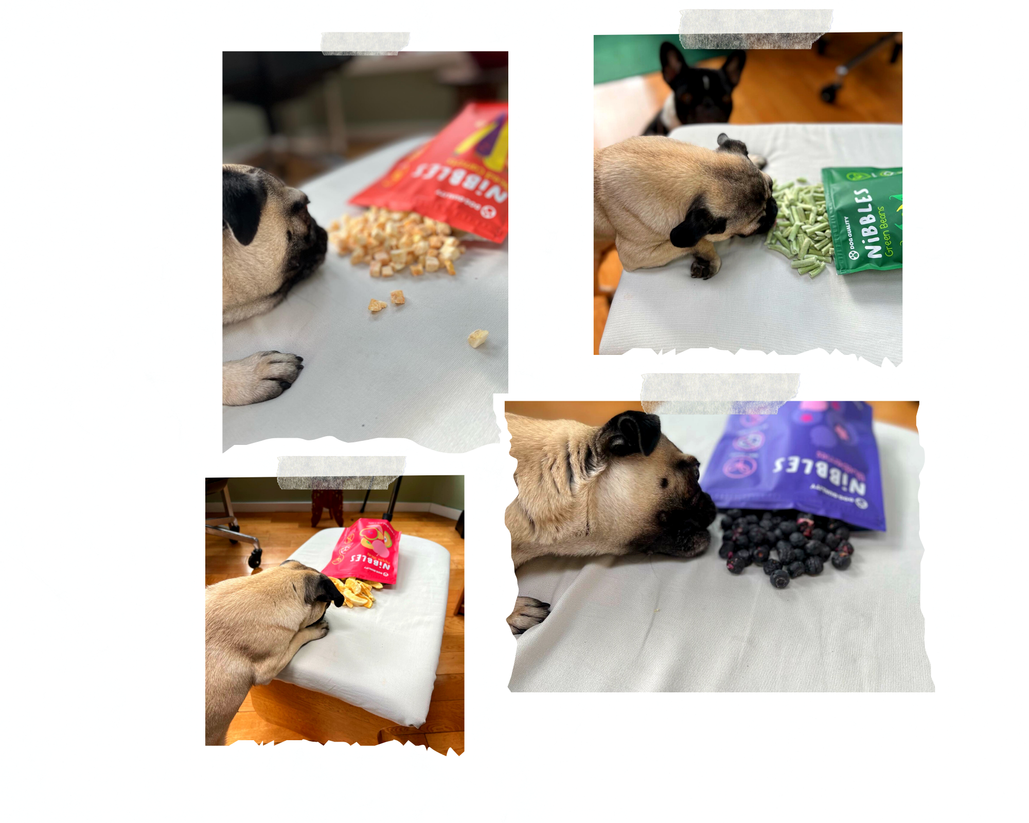 Healthy treats hotsell for pugs