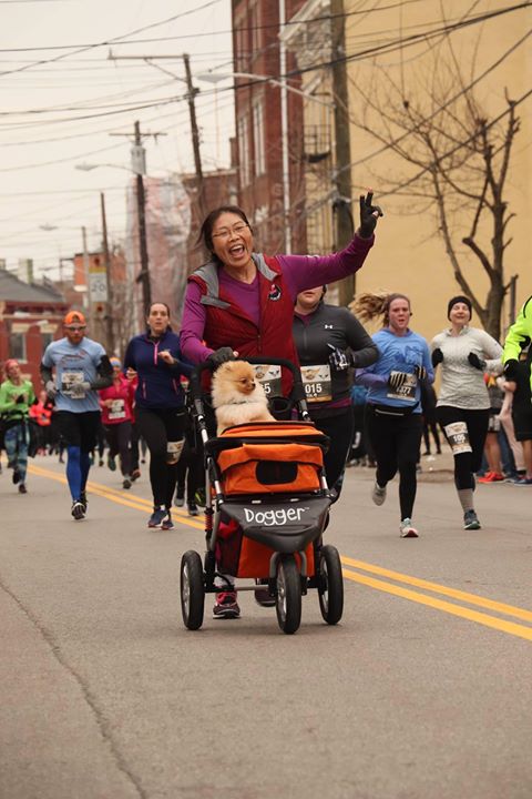 Running with your Dogger stroller (exercise has never been this fun!)