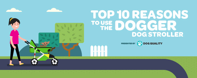 Top 10 Reasons to Use the Dogger