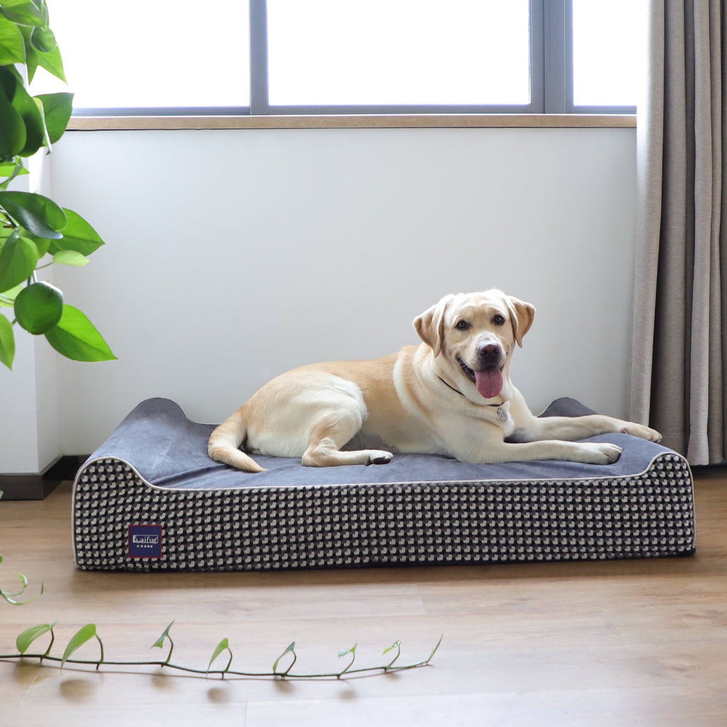 Extra-Large Orthopedic Dog Bed with Therapeutic Memory Foam | Double Pillow Design