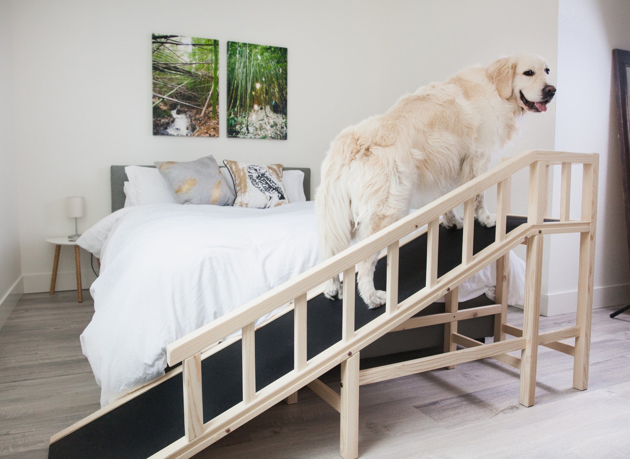 Pet ramps for shops beds