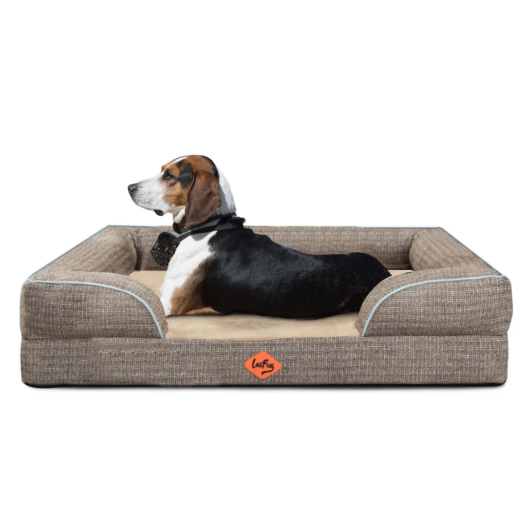 Orthopedic Dog Sofa Bed for Senior Dogs