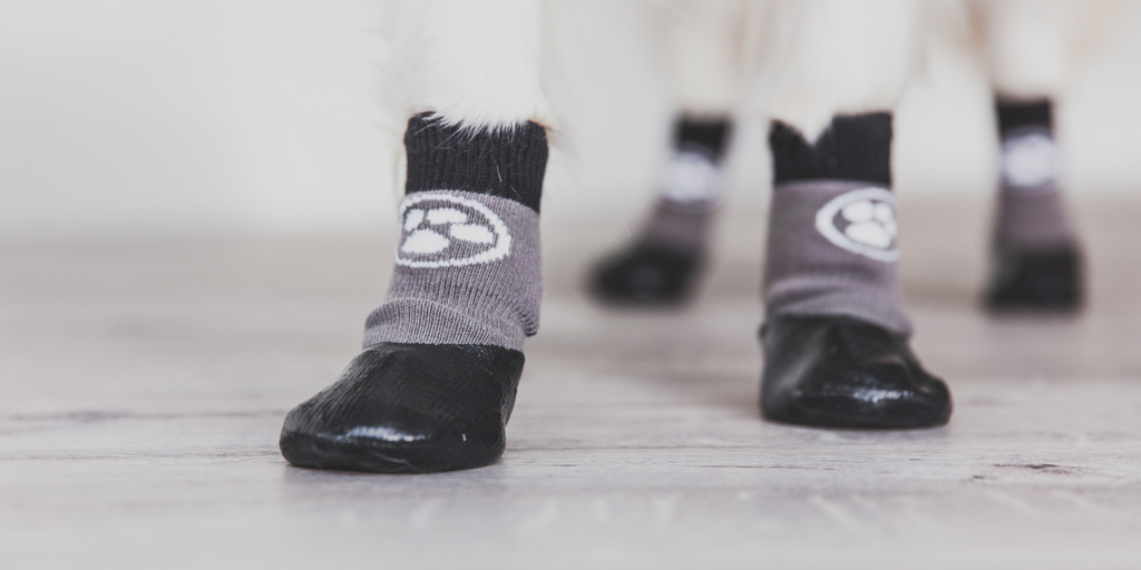 Grippers dog socks. Traction socks that will keep your senior dog safe and restore their confidence.