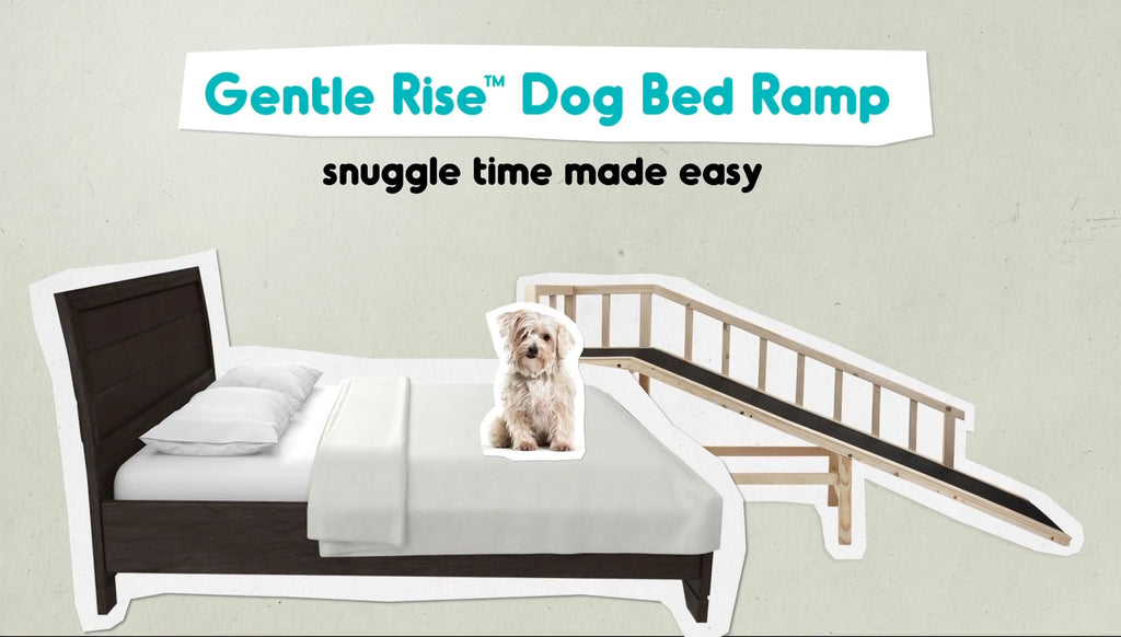 Gentle Rise Dog Ramps | Gentle slope & sturdy frame make it easy and safe for senior dogs with mobility issues to access your bed and couch. Can handles more than 130lbs in weight.