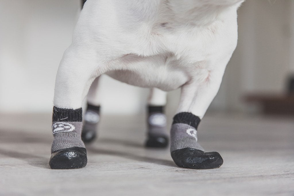 Anti Slip Dog Socks 1 Pairs - Dog Grip Socks With Straps Traction Control  For Indoor On Hardwood Floor Wear