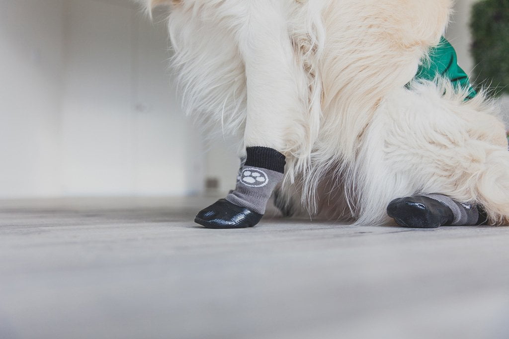 Dog Leg Warmers & Non Slip Socks
