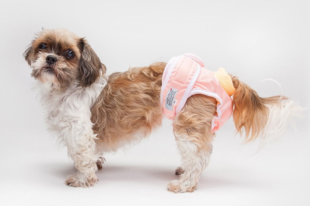 Washable Wonders™ Female Dog Diaper – Dog Quality