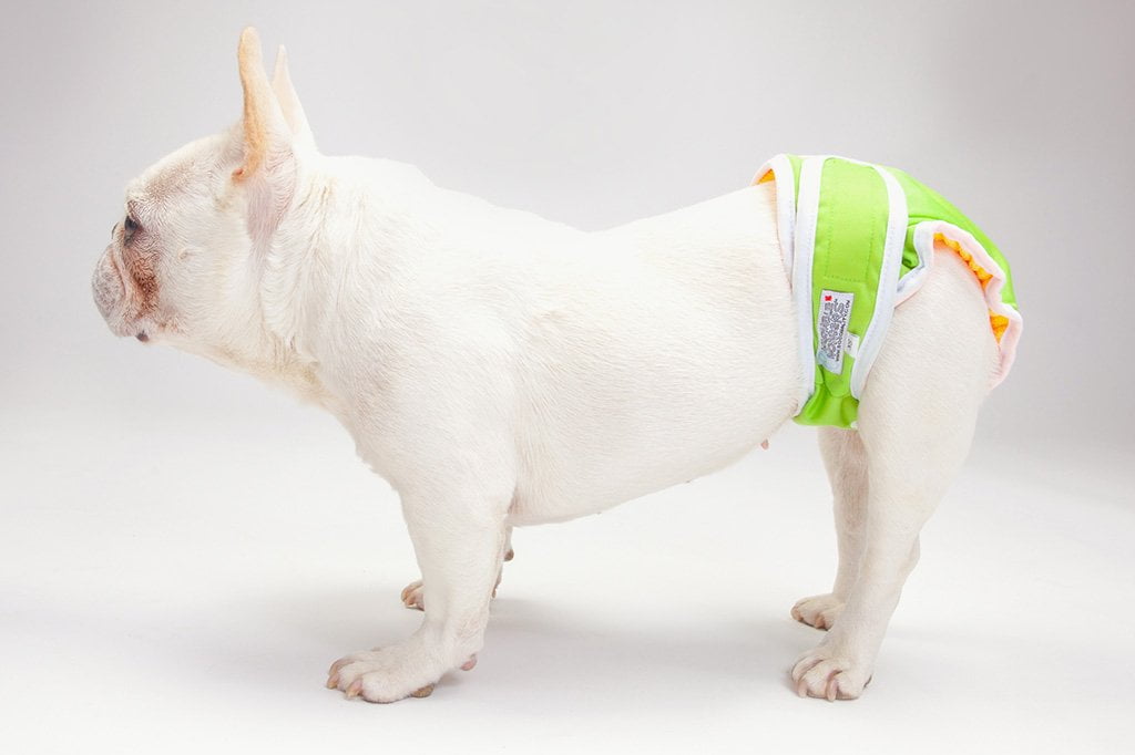 Washable Wonders™ Dog Diapers (Female - No Tail Hole)-2