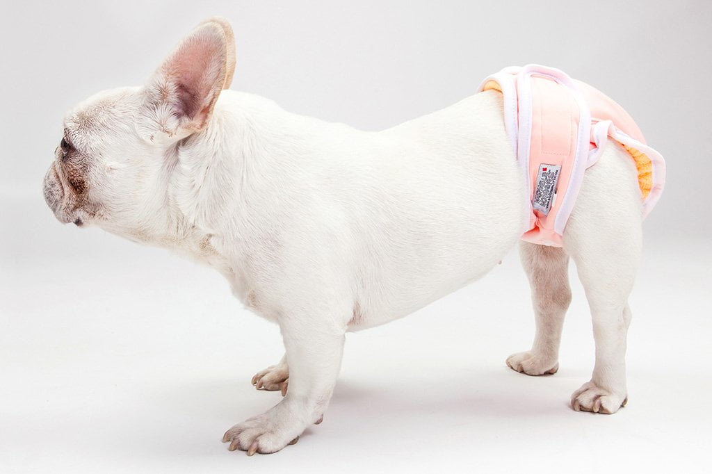 Washable Wonders™ Dog Diapers (Female - No Tail Hole)-4