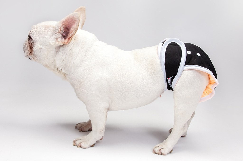 Washable Wonders™ Dog Diapers (Male - No Tail Hole)-4