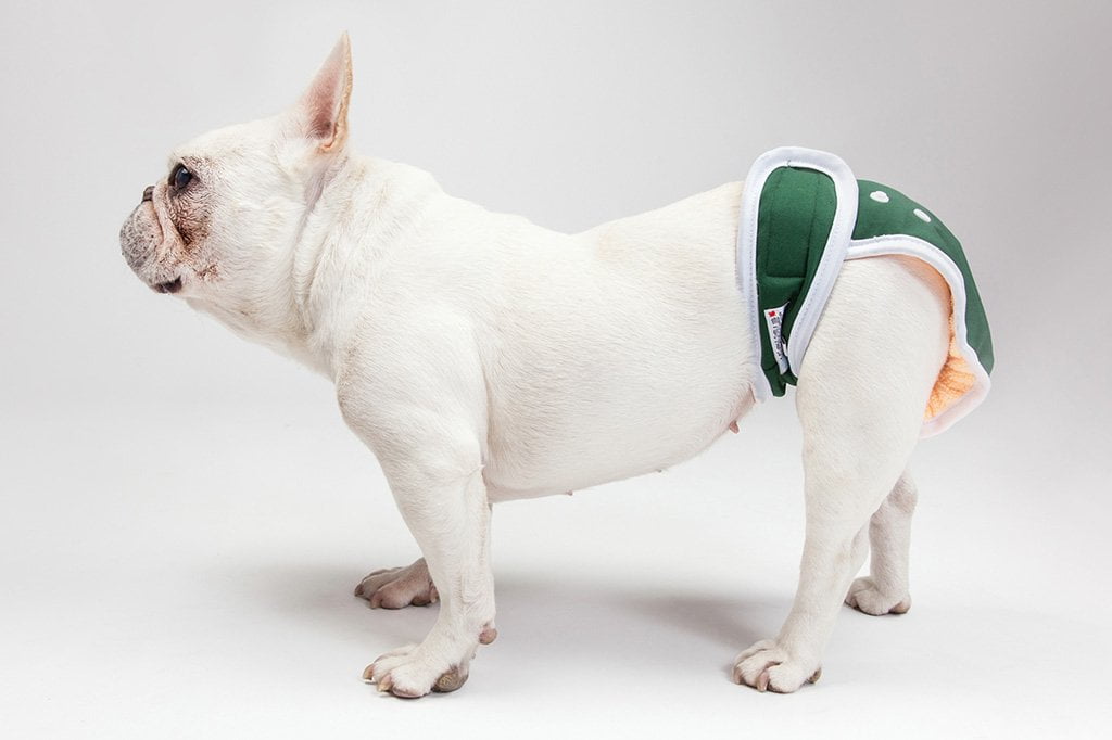 Washable Wonders™ Dog Diapers (Male - No Tail Hole)-2